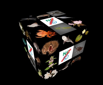 Modern Other-ID:936578995