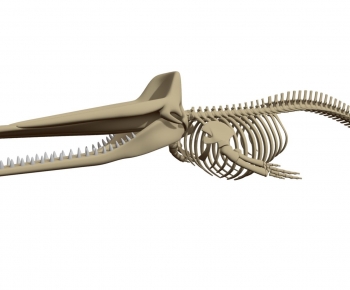 Modern Animal-ID:676907061