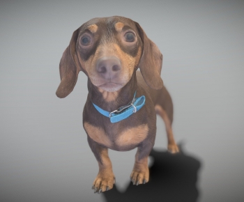 Modern Animal-ID:342252978