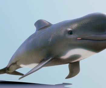 Modern Mammal-ID:735955955