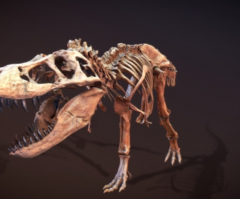 Modern Animal-ID:634050481