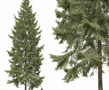 Modern Tree-ID:248187074