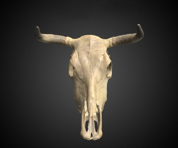 Modern Animal-ID:778155098