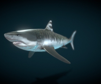 Modern Aquatic Animals-ID:975120078