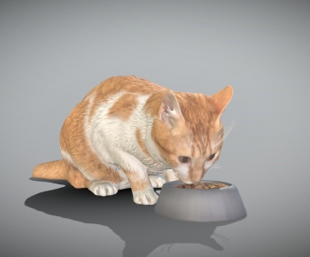 Modern Animal Cat-ID:249627114