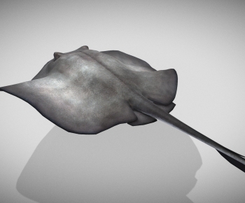 Modern Aquatic Animals-ID:615968941