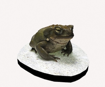 Modern Animal-ID:272017967