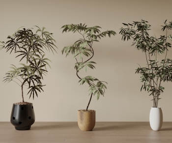 Wabi-sabi Style Ground Green Plant Potted Plants-ID:799849996