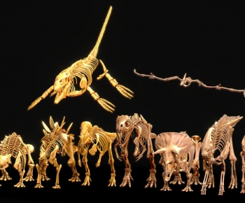 Modern Animal-ID:144268046