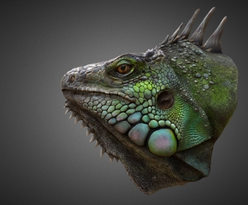 Modern Robot-ID:997302062