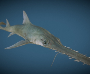 Modern Animal-ID:171238901