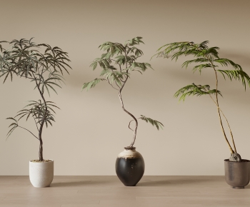 New Chinese Style Ground Green Plant Potted Plants-ID:540609489