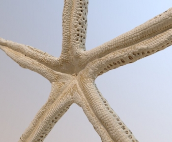 Modern Aquatic Animals-ID:383333921