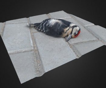Modern Robot-ID:501176129