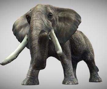 Modern Animal-ID:953035127