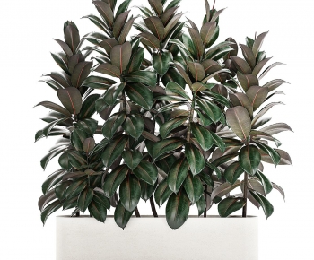 Modern Potted Green Plant-ID:962644105