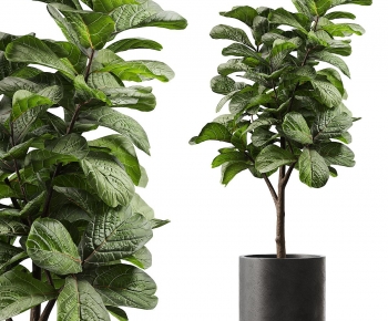 Modern Ground Green Plant Potted Plants-ID:143500094
