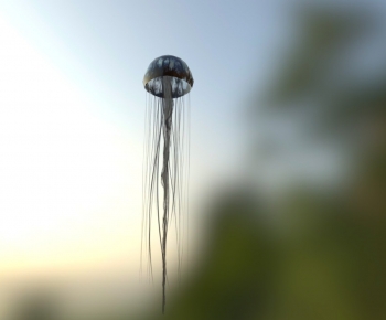 Modern Aquatic Animals-ID:362456082