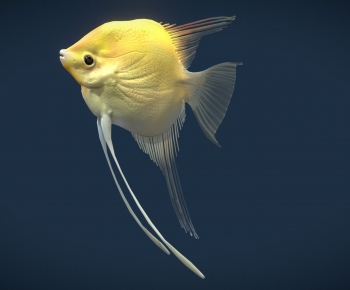 Modern Animal-ID:454736953