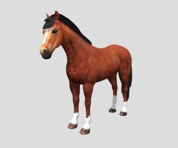 Modern Animal Horse-ID:907762056