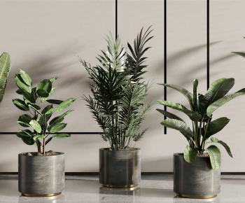 Modern Ground Green Plant Potted Plants-ID:877901086