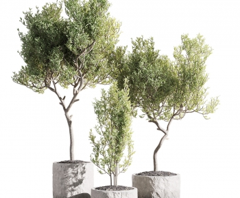 Modern Ground Green Plant Potted Plants-ID:109563116