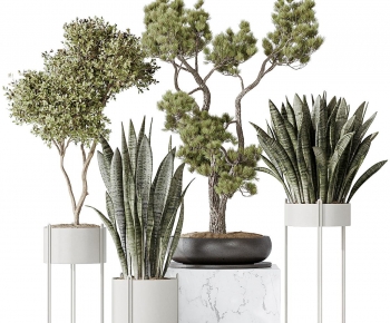 Modern Potted Green Plant-ID:447078944