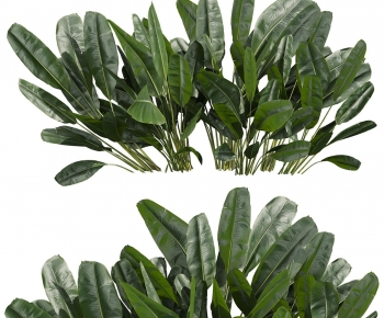 Modern Plant-ID:530344966