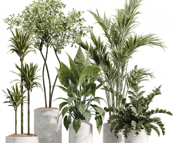 Modern Ground Green Plant Potted Plants-ID:318570138