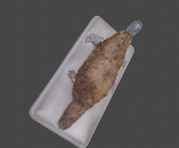 Modern Other Animals-ID:523390057