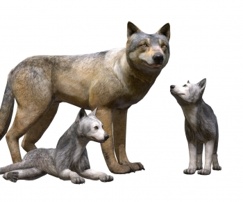 Modern Mammal-ID:665520912