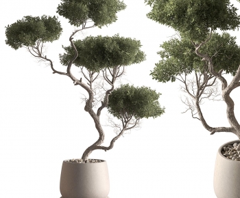 New Chinese Style Potted Green Plant-ID:797333963