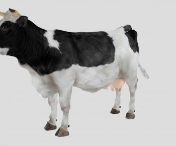 Modern Mammal-ID:588988078