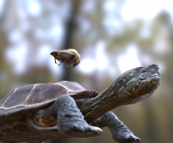 Modern Reptile-ID:445633897