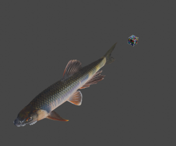 Modern Aquatic Animals-ID:394521952