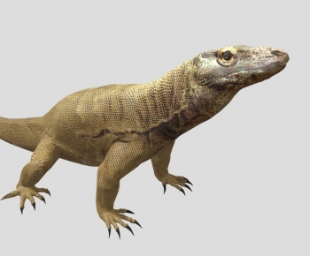 Modern Other Animals-ID:771960021