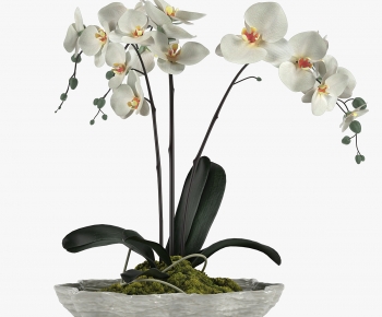 Modern Flowers-ID:594645986