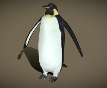 Modern Other Animals-ID:333640106