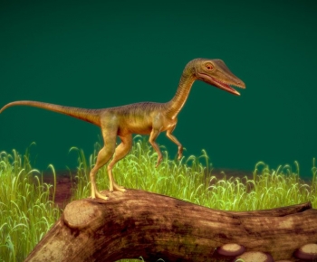 Modern Other Animals-ID:851635938