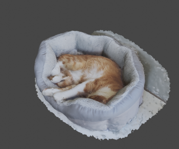 Modern Animal Cat-ID:971710924