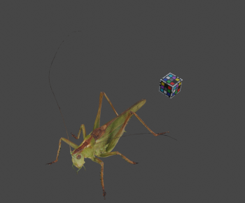 Modern Reptile-ID:314910499