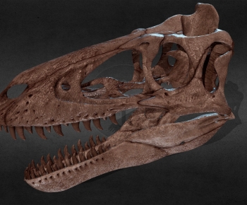 Modern Animal-ID:447818993