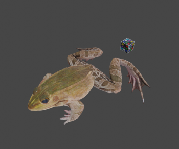 Modern Animal-ID:402436023