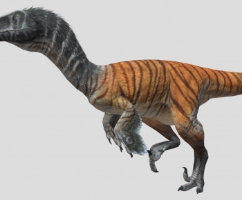 Modern Other Animals-ID:852948903