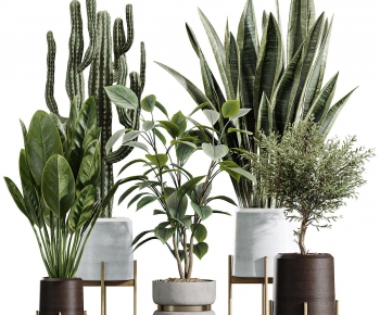 Modern Potted Green Plant-ID:176870871