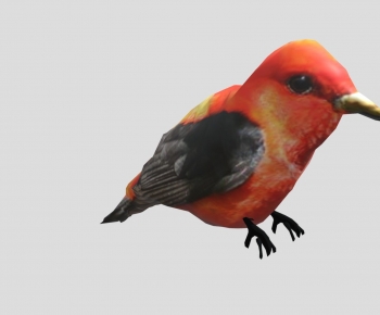 Modern Flying Animals-ID:177457096