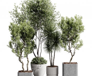 Modern Ground Green Plant Potted Plants-ID:226144082