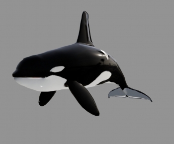 Modern Aquatic Animals-ID:289016014