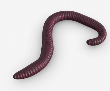 Modern Reptile-ID:409971957