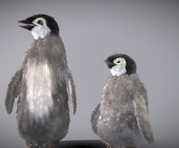 Modern Mammal-ID:907922985